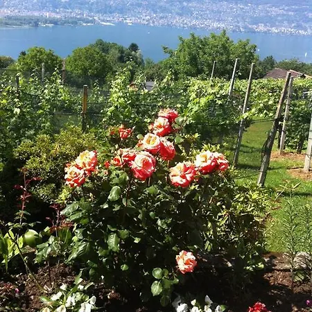 Ristorante B&B Gambarogno Hotel 3*
